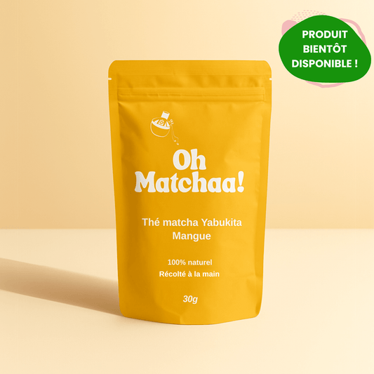 Matcha Cérémonie Mangue - Oh Matchaa!
